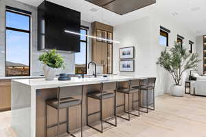 Kitchen with light countertops, modern cabinets, a sink, and light wood-style flooring