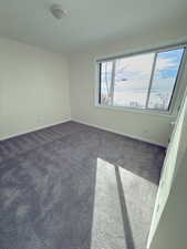 Spare room with dark colored carpet