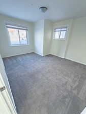 Empty room with dark colored carpet