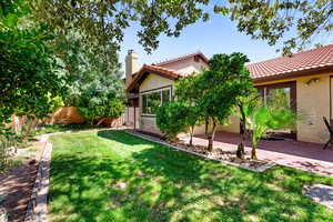 View of yard featuring a patio