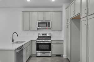 Kitchen with appliances with stainless steel finishes, dark hardwood / wood-style floors, and sink