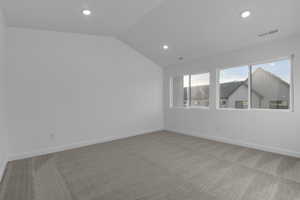 Unfurnished room featuring lofted ceiling and carpet flooring