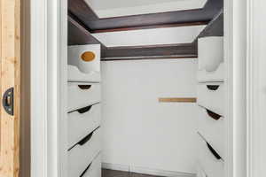 Master Bedroom Walk-in Closet