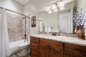 Full bathroom featuring vanity, wood-type flooring, toilet, and shower / tub combo with curtain