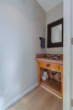 Bathroom featuring wood-type flooring and sink