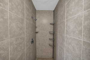 Interior details featuring tiled shower