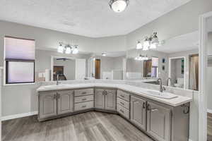 Bathroom featuring vanity, hardwood / wood-style floors, and a textured ceiling