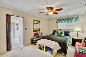 Carpeted bedroom with ceiling fan, ornamental molding, and a textured ceiling