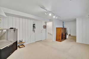 Basement with light colored carpet and track lighting