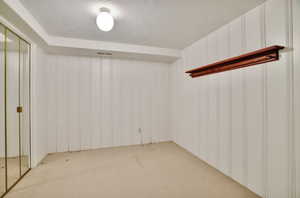 Basement with light colored carpet and a textured ceiling