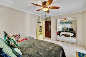 Carpeted bedroom featuring crown molding, a textured ceiling, a closet, and ceiling fan