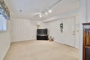 Basement featuring light carpet and rail lighting