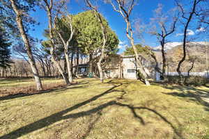 View of yard featuring a mountain view