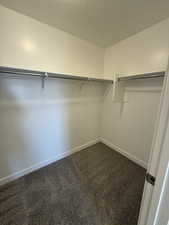 Walk in closet with carpet floors