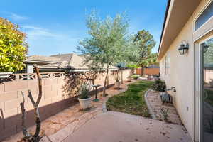 View of yard with a patio area and a fenced backyard