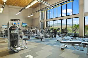 Exercise room featuring a towering ceiling and carpet flooring