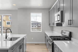 Kitchen featuring light hardwood / wood-style flooring, sink, gray cabinets, and appliances with stainless steel finishes