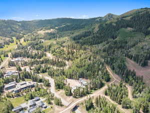 Aerial overview of property's location featuring a forest and mountains