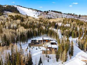 Snowy aerial view featuring a wooded view