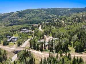 Drone / aerial view of a heavily wooded area