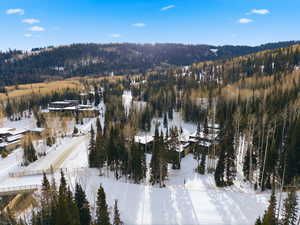 Snowy aerial view with a forest view