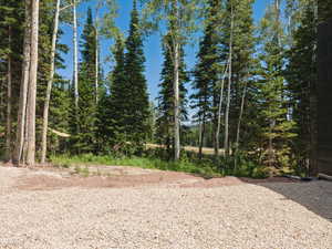 View of undeveloped land