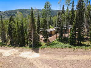 Mountain view featuring a forest