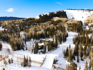 Snowy aerial view featuring a mountain view and a view of trees
