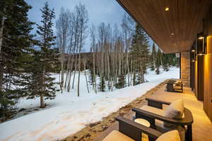 Yard covered in snow with a view of trees