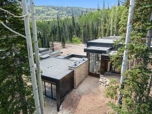 Exterior space with a forest