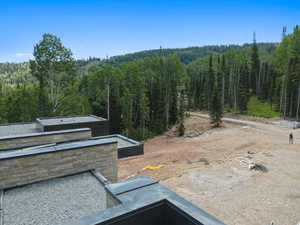 View of mountain background with a heavily wooded area