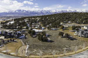 Aerial view with a mountain view