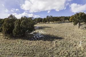 View of nature featuring a rural view