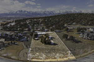 Aerial view with a mountain view