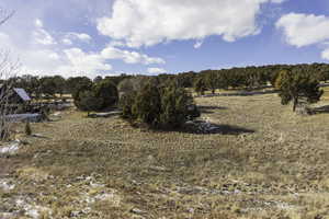 View of nature with a rural view