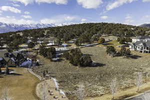 Birds eye view of property with a mountain view