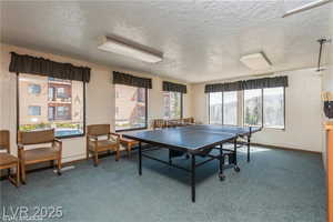 Game room featuring carpet and a textured ceiling