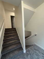 Staircase featuring carpet floors