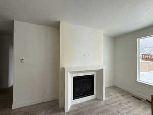 Fireplace/Living Room