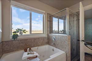 Master bathroom with shower with separate Jetted bathtub