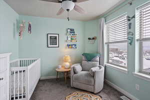 Bedroom featuring a nursery area, ceiling fan, two large windows and carpet