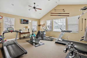 Workout area with lofted ceiling, carpet, and ceiling fan