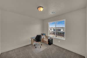 Unfurnished office featuring light carpet