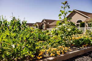 View of community garden