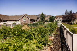 View of community garden