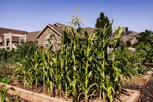 View of community garden