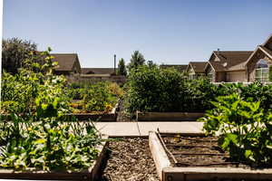 View of community garden