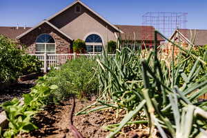 View of community garden