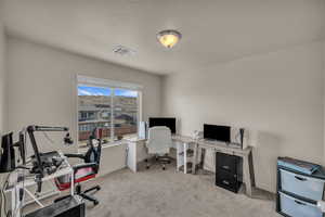 Home office featuring light colored carpet