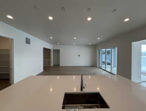 Empty room with sink, hardwood / wood-style flooring, and a textured ceiling